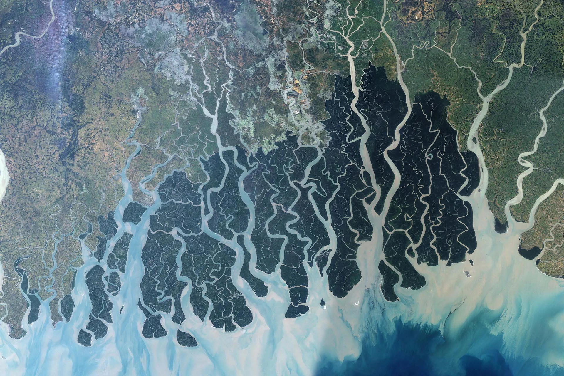 A braided coastal river delta seen from above