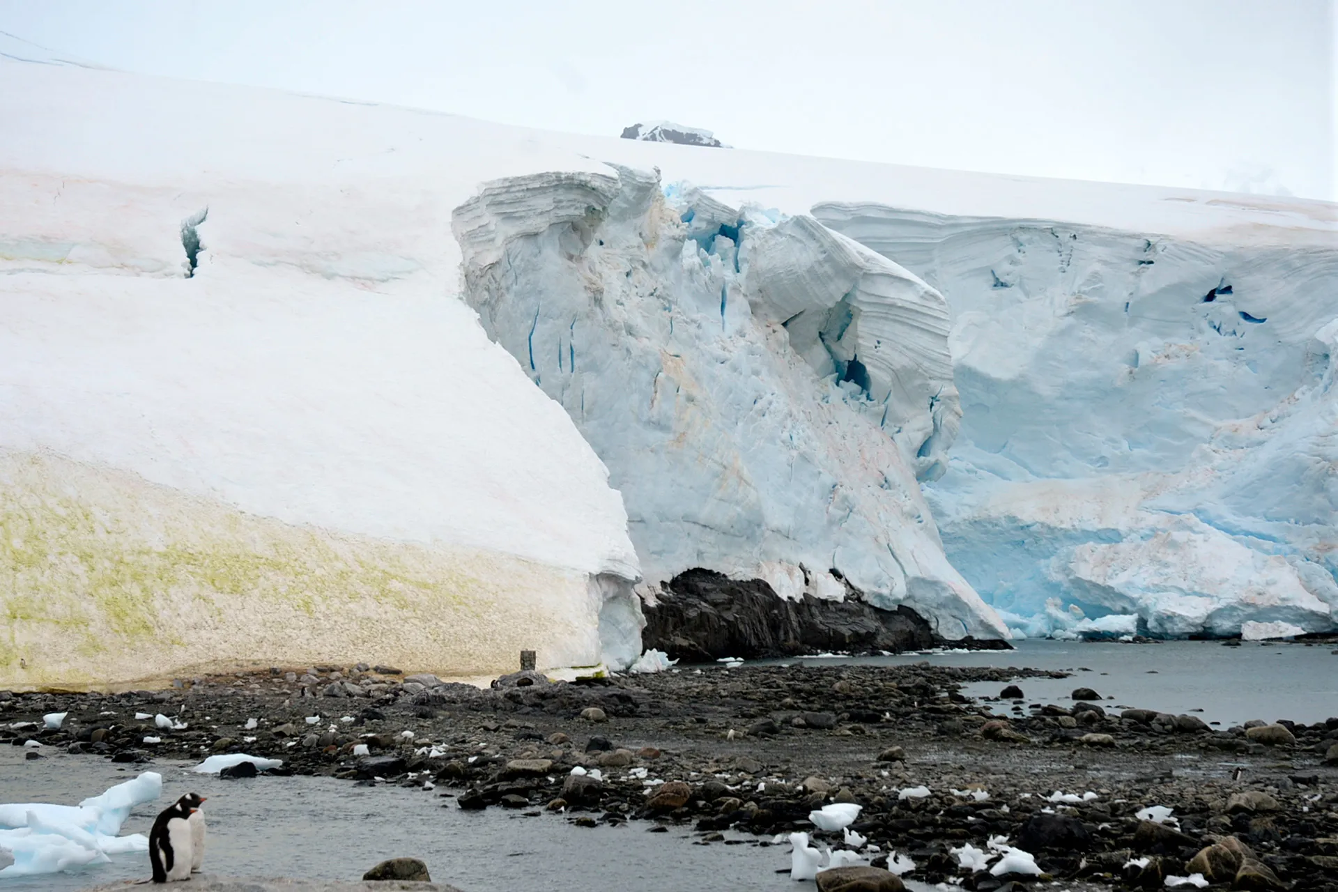 Ice sheets, glaciers and perennial snowfields
